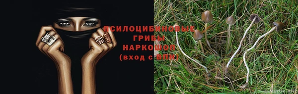СК Балабаново