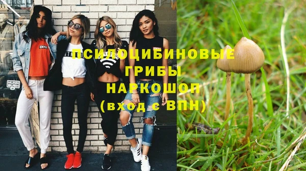 мет Арсеньев