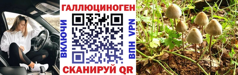 блэк спрут   Зерноград  Галлюциногенные грибы мицелий 